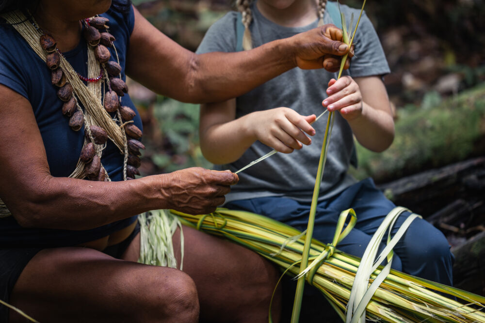 Descubre el Corazón Verde del Mundo en la Amazonía Ecuatoriana 4 Descubre el Corazón Verde del Mundo en la Amazonía Ecuatoriana - Ojos del Mundo