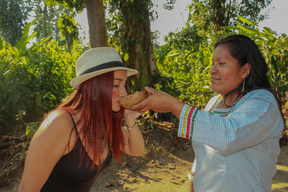 Descubre el Corazón Verde del Mundo en la Amazonía Ecuatoriana 8 Descubre el Corazón Verde del Mundo en la Amazonía Ecuatoriana - Ojos del Mundo