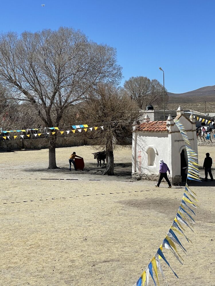 Casabindo se prepara para el Toreo de la Vincha - Ojos del Mundo