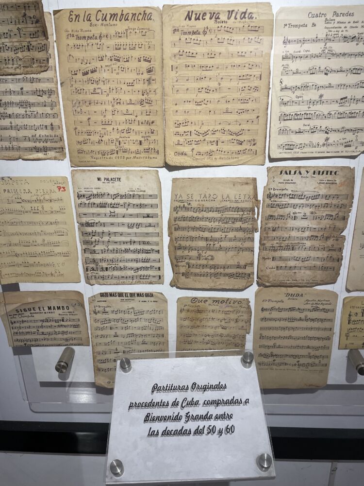 La mejor salsa la probé en Cali - Ojos del Mundo