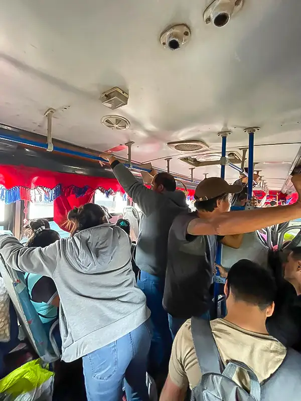 Solo falta la gallina - Ojos del Mundo