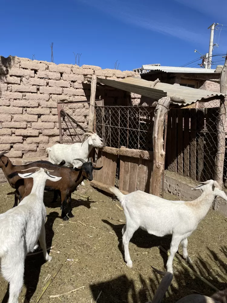 ONU Turismo: Maimara seleccionado para competir entre los pueblos más lindos del mundo - Ojos del Mundo