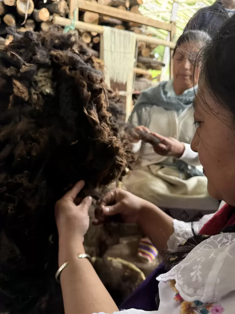 Nariño: Donde el verde es de todos los colores - Ojos del Mundo