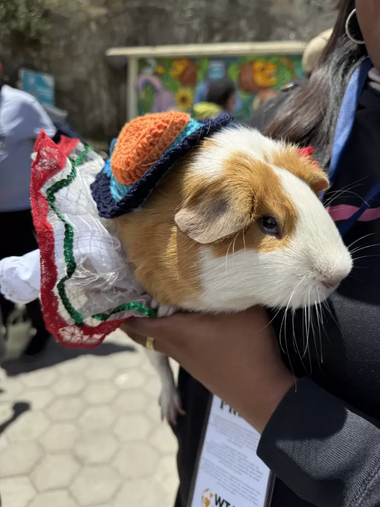 Nariño: Donde el verde es de todos los colores - Ojos del Mundo