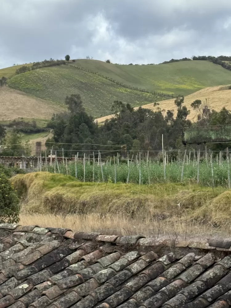 Nariño: Donde el verde es de todos los colores - Ojos del Mundo