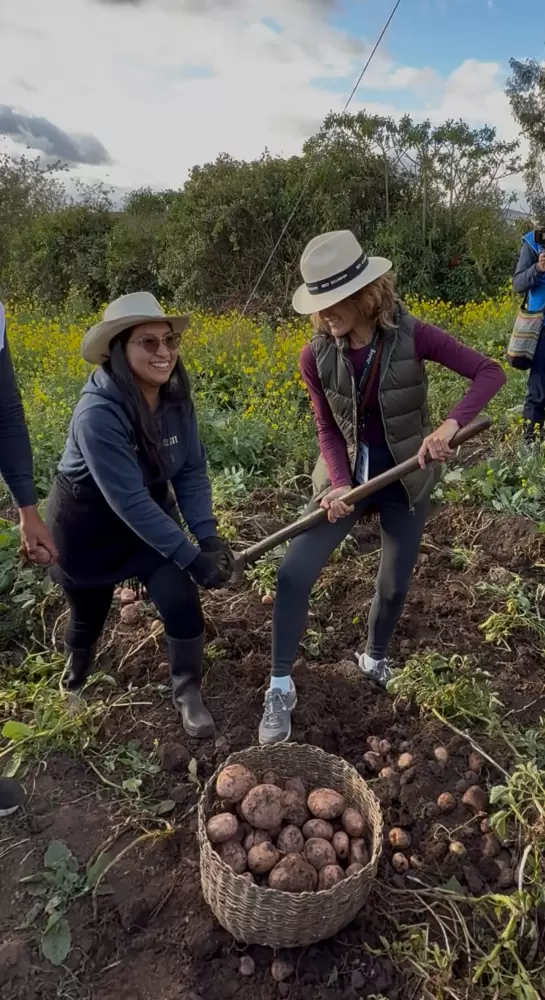 Sur de Colombia: Qué visitar en un destino atrapante - Ojos del Mundo