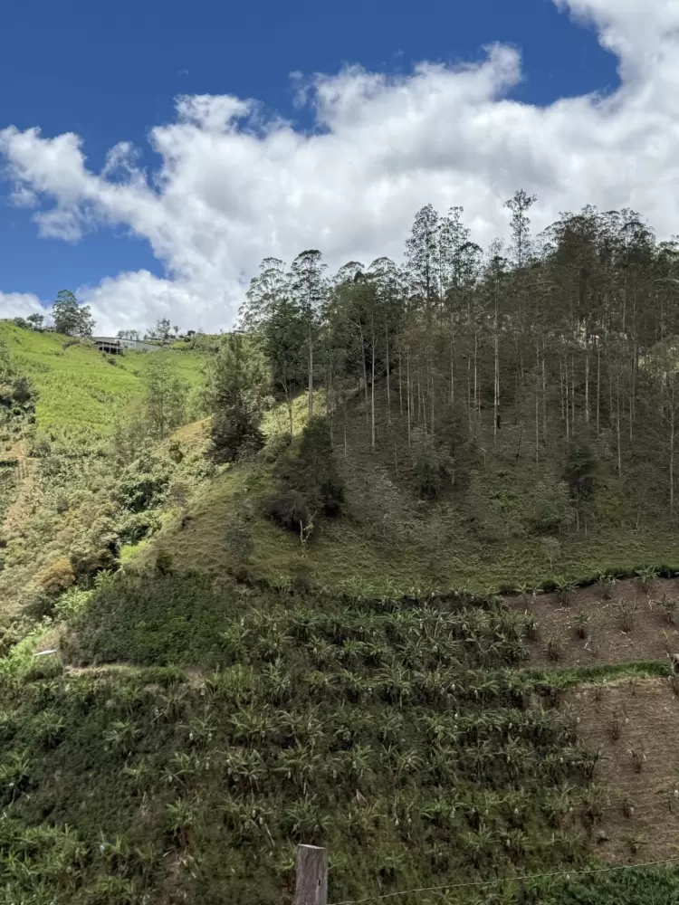 Nariño: Donde el verde es de todos los colores - Ojos del Mundo