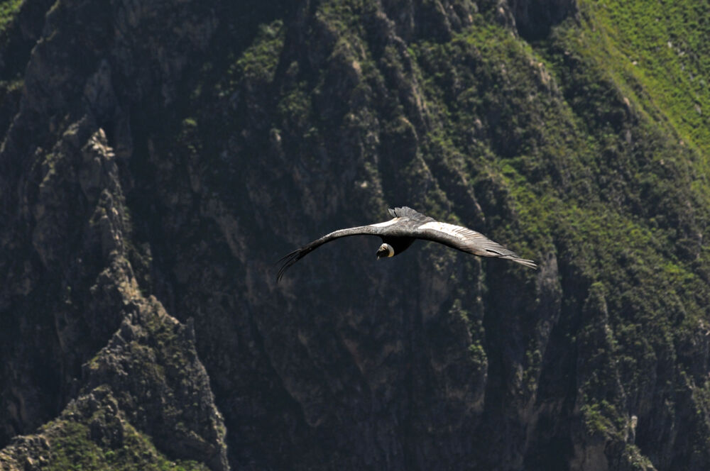 Año nuevo en Perú: los mejores lugares para comenzar el 2026 - Ojos del Mundo