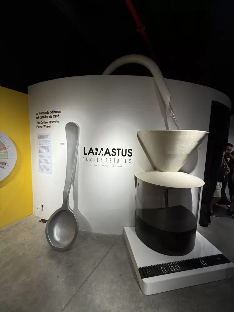 Panamá un destino con historia, modernidad y atractivos turísticos 19 Panamá un destino con historia, modernidad y atractivos turísticos - Ojos del Mundo