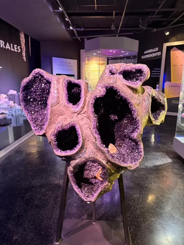 Saltillo: historia, ciencia y vino en el corazón del norte de México - Ojos del Mundo
