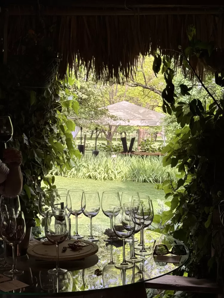 Bodegas del Viento: Un vino que homenajea a los indígenas de México - Ojos del Mundo