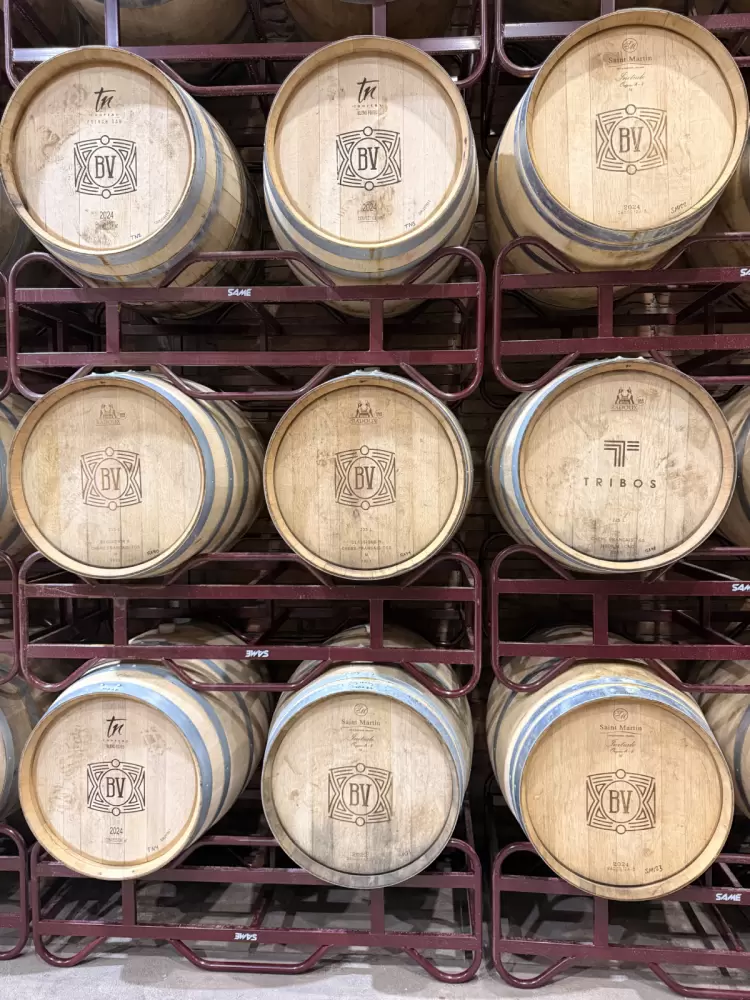 Bodegas del Viento: Un vino que homenajea a los indígenas de México - Ojos del Mundo