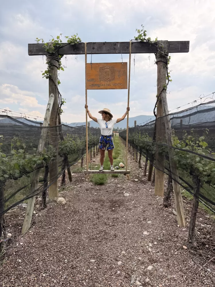 Bodegas del Viento: Un vino que homenajea a los indígenas de México - Ojos del Mundo