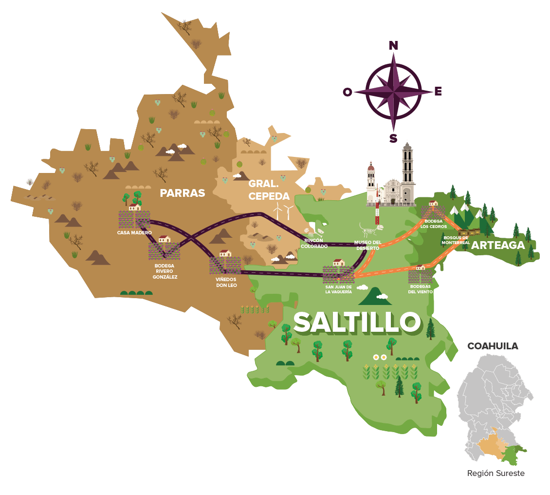 Saltillo: historia, ciencia y vino en el corazón del norte de México - Ojos del Mundo